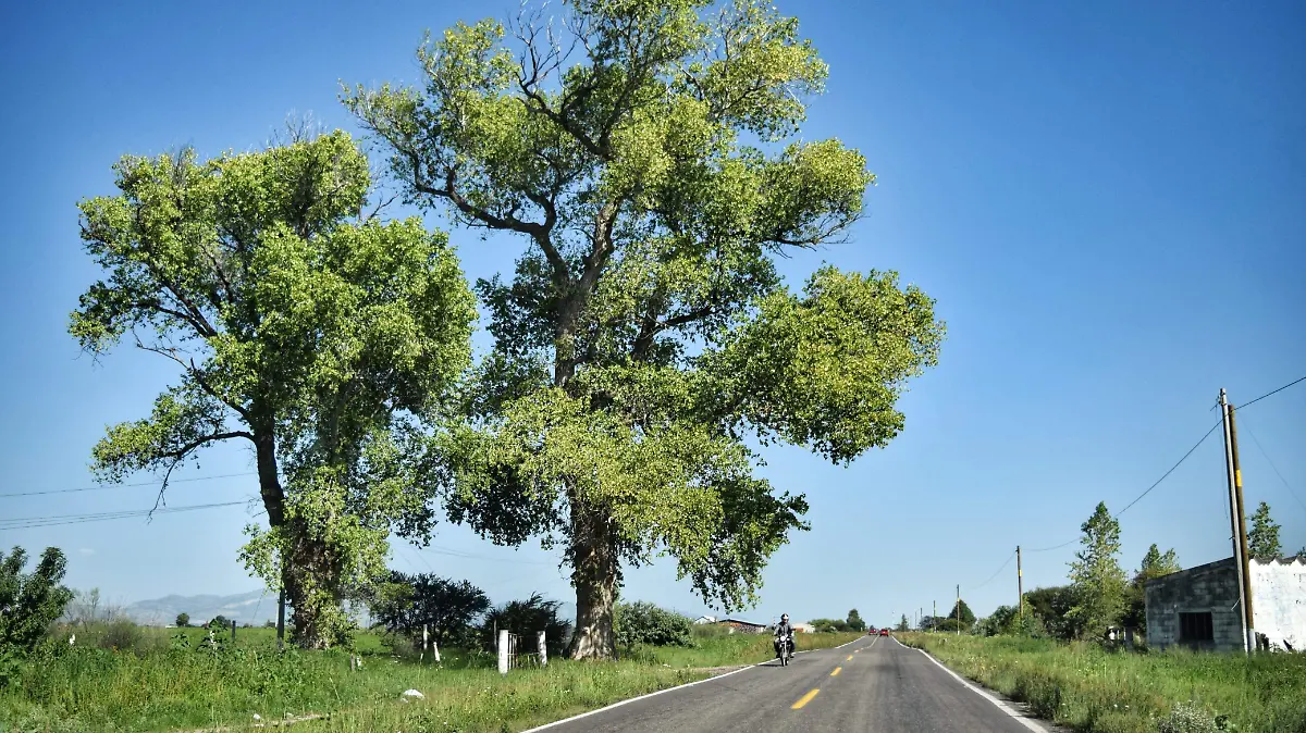 WhatsApp Image 2025-07-02 at 4.35.24 PM