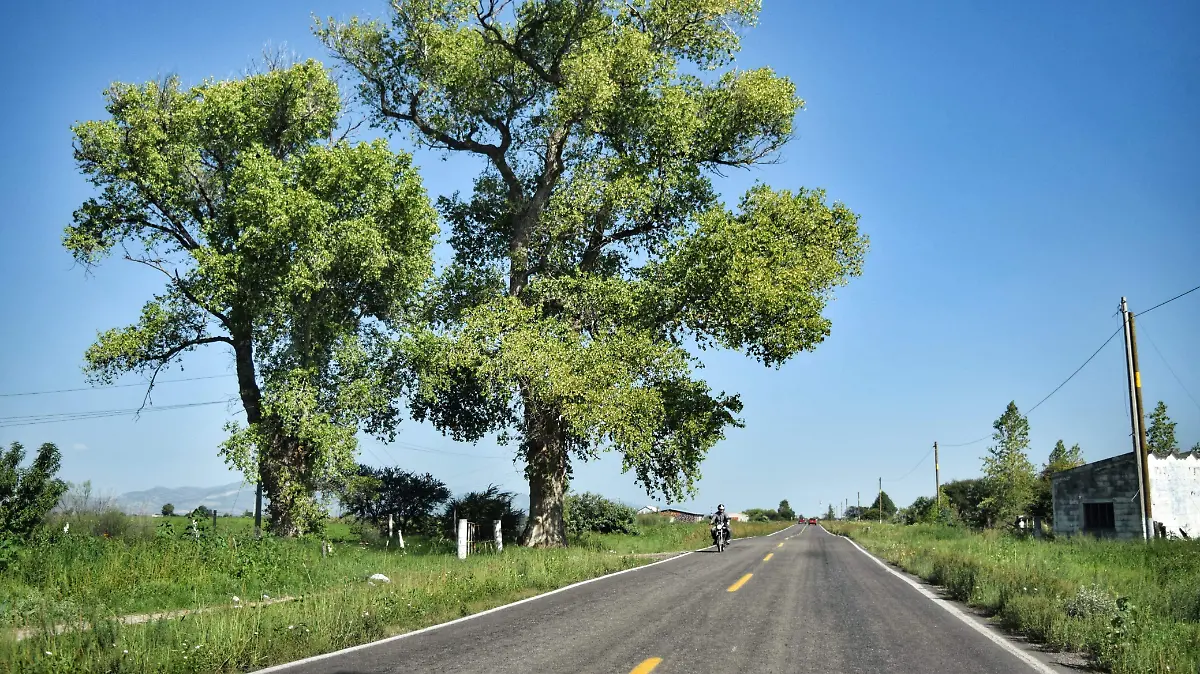 WhatsApp Image 2025-07-02 at 4.35.24 PM