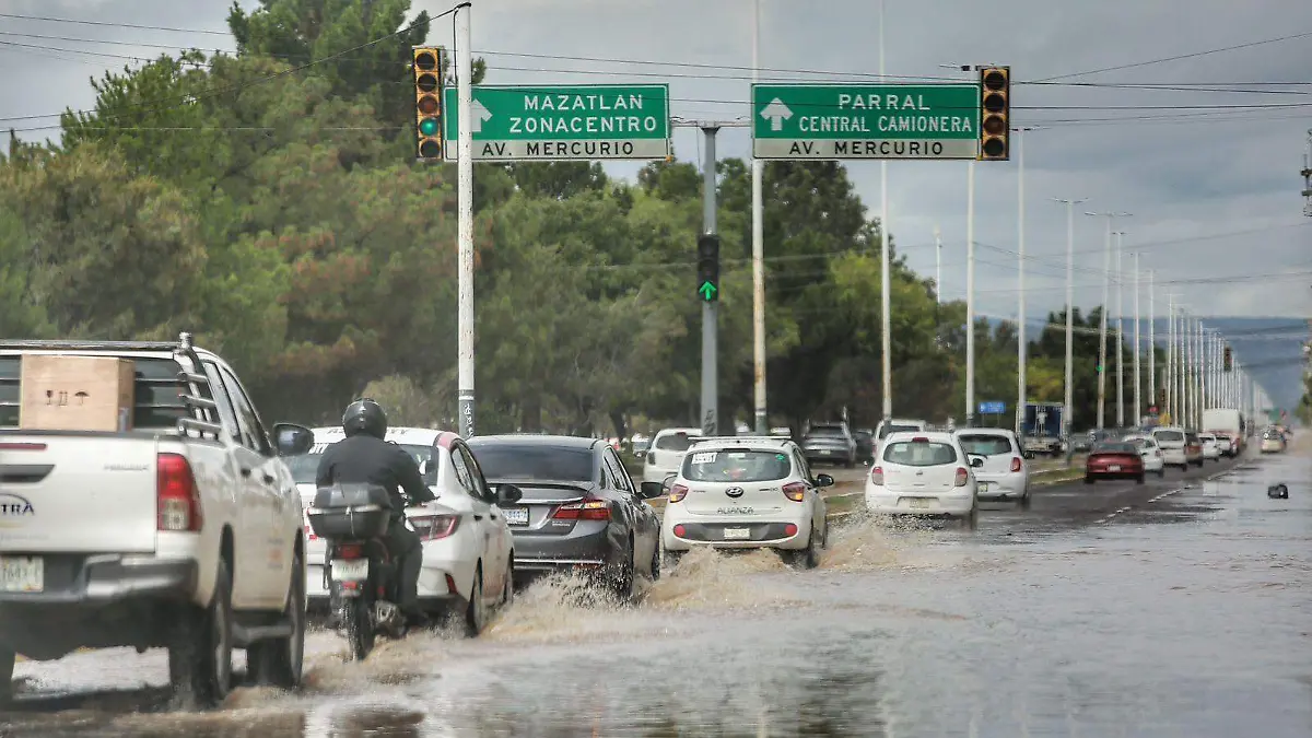 WhatsApp Image 2025-07-03 at 4.04.43 PM