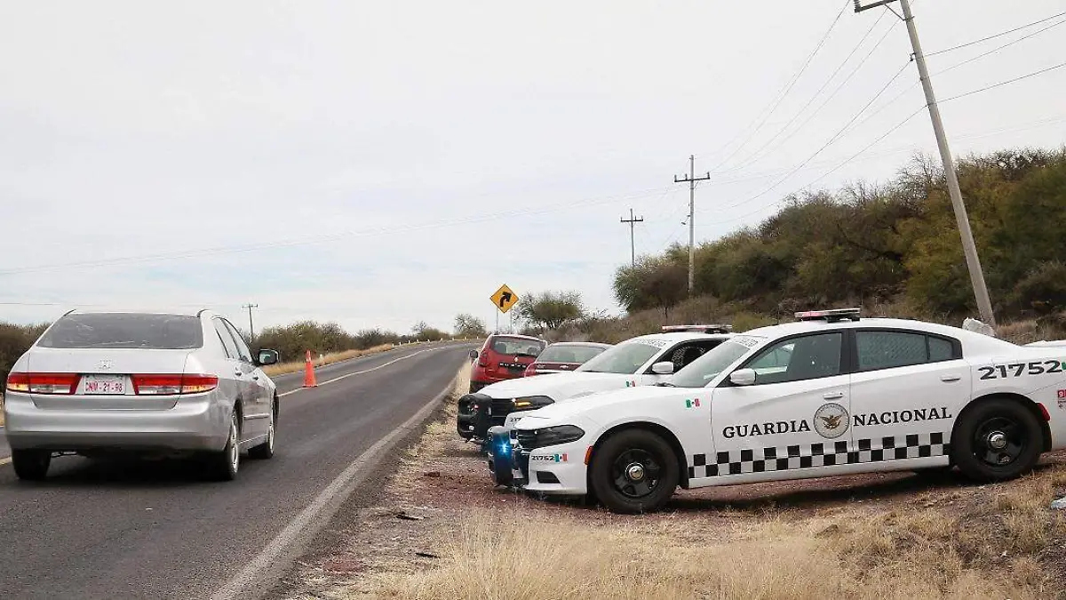 WhatsApp Image 2025-07-07 at 2.39.26 PM (1)