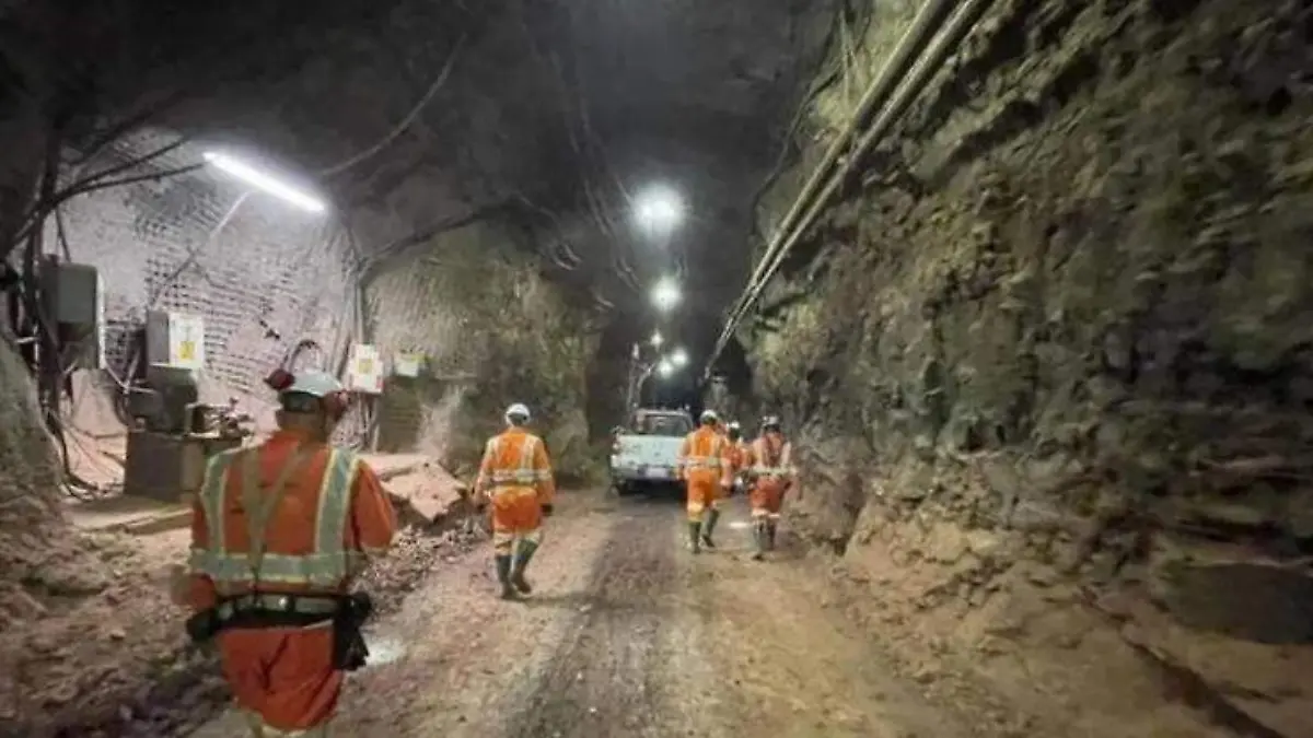 WhatsApp Image 2025-07-10 at 21.20.04