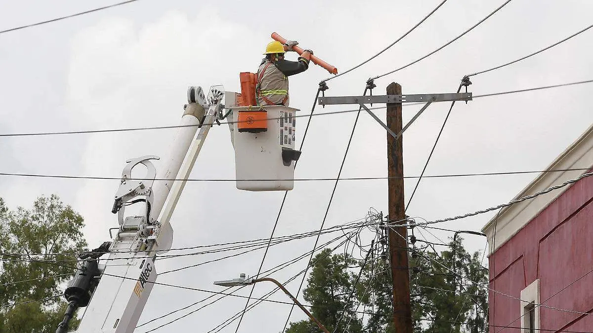 WhatsApp Image 2025-07-12 at 2.17.59 PM