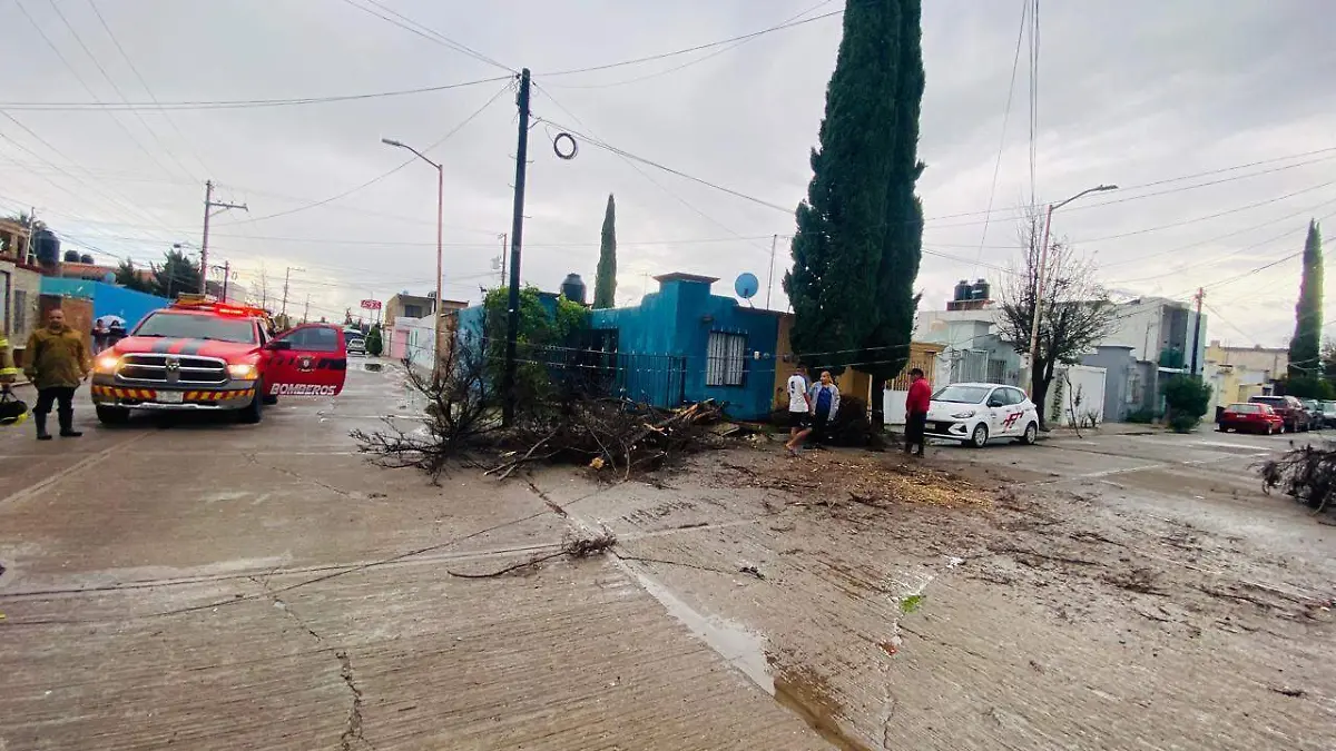 Intensa tromba deja múltiples daños en diversas partes de Durango capital 
