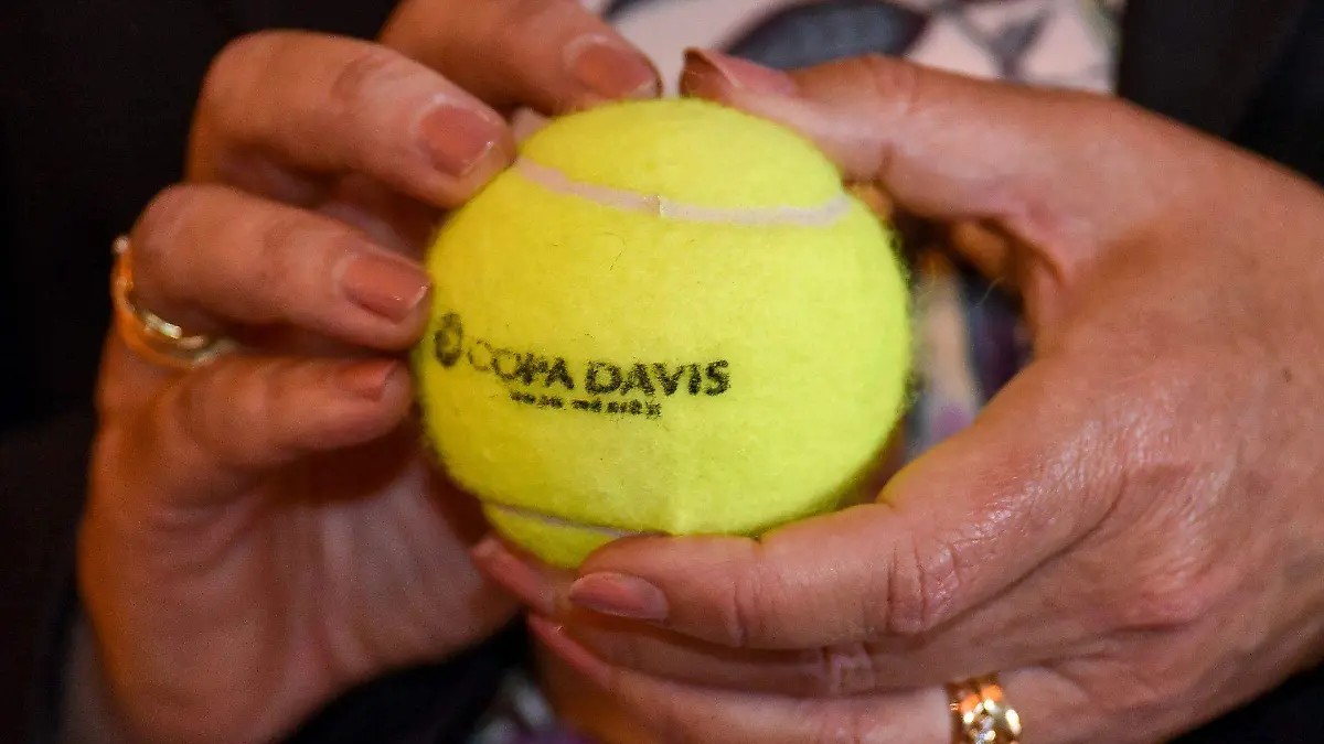Pelota de tenis, Copa Davis