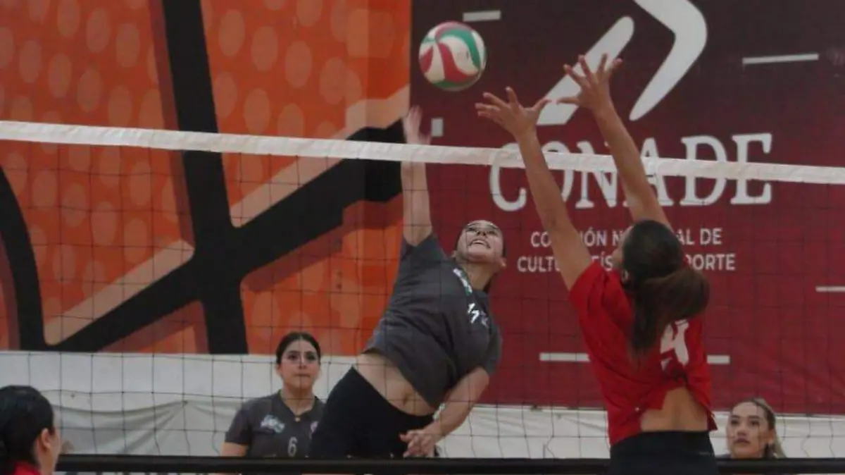 torneo de voleibol Vicky Nájera