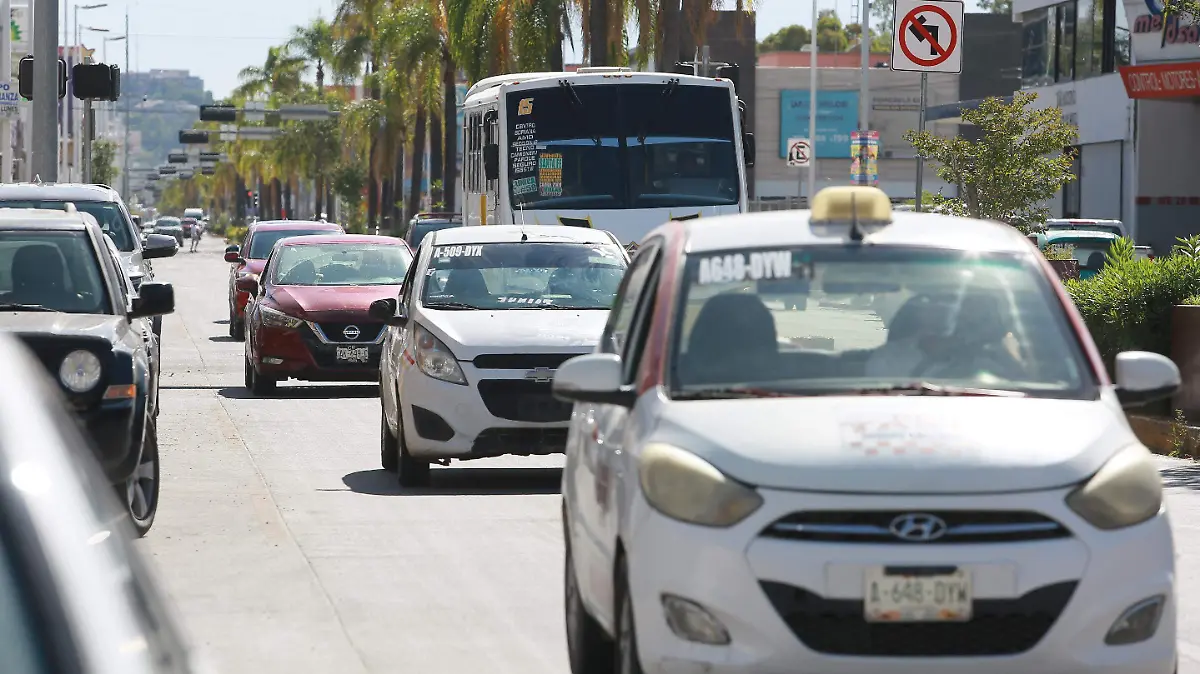 WhatsApp Image 2025-07-24 at 20.50.07 (2)