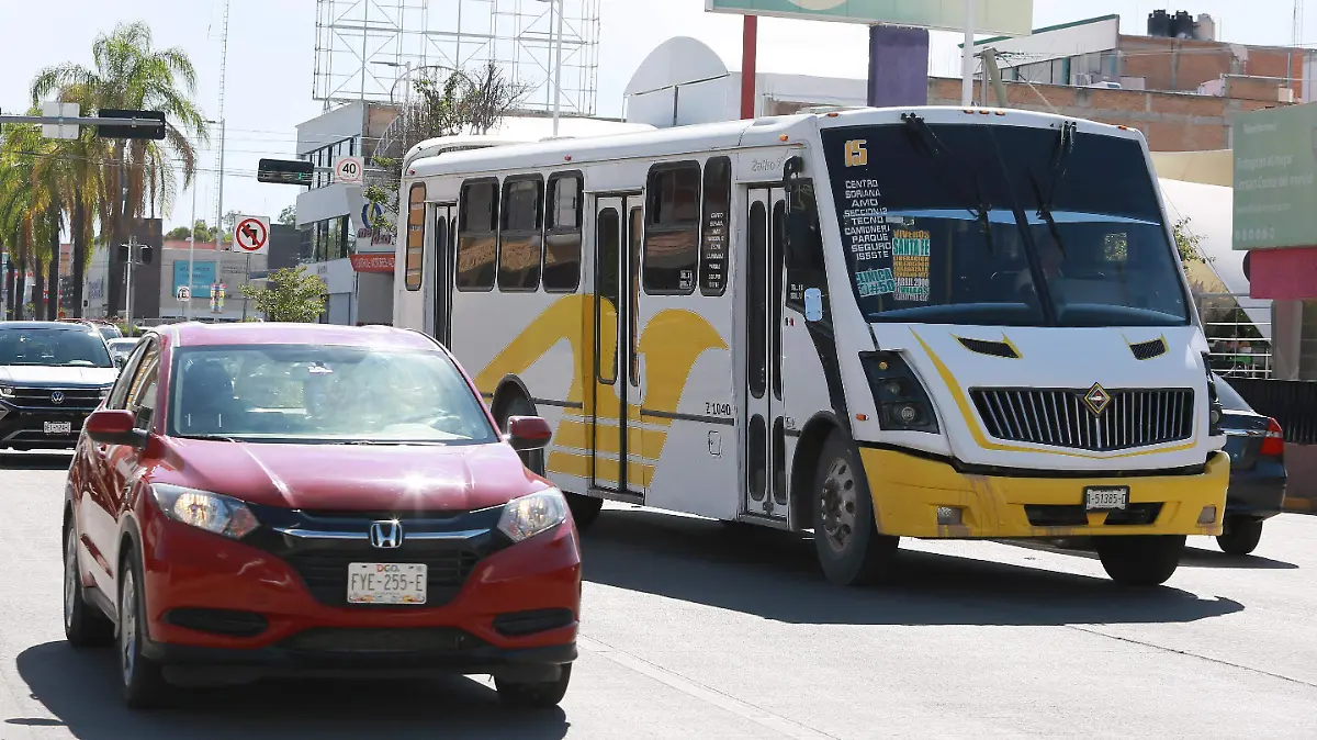 WhatsApp Image 2025-07-24 at 20.50.07 (1)