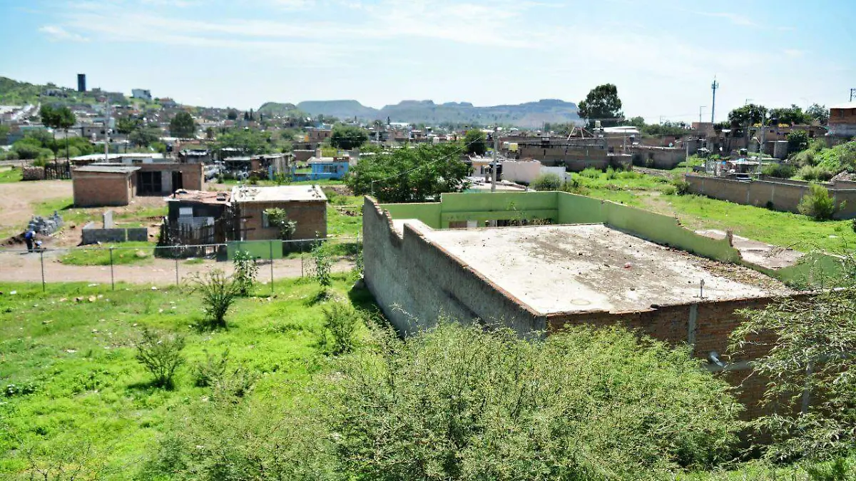 WhatsApp Image 2025-07-26 at 17.28.23 (3)