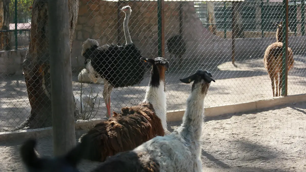 WhatsApp Image 2025-07-28 at 22.44.50 (1)