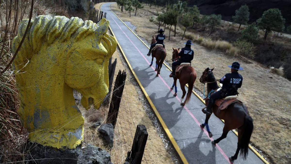 593741_vigilancia Ciclopista_web