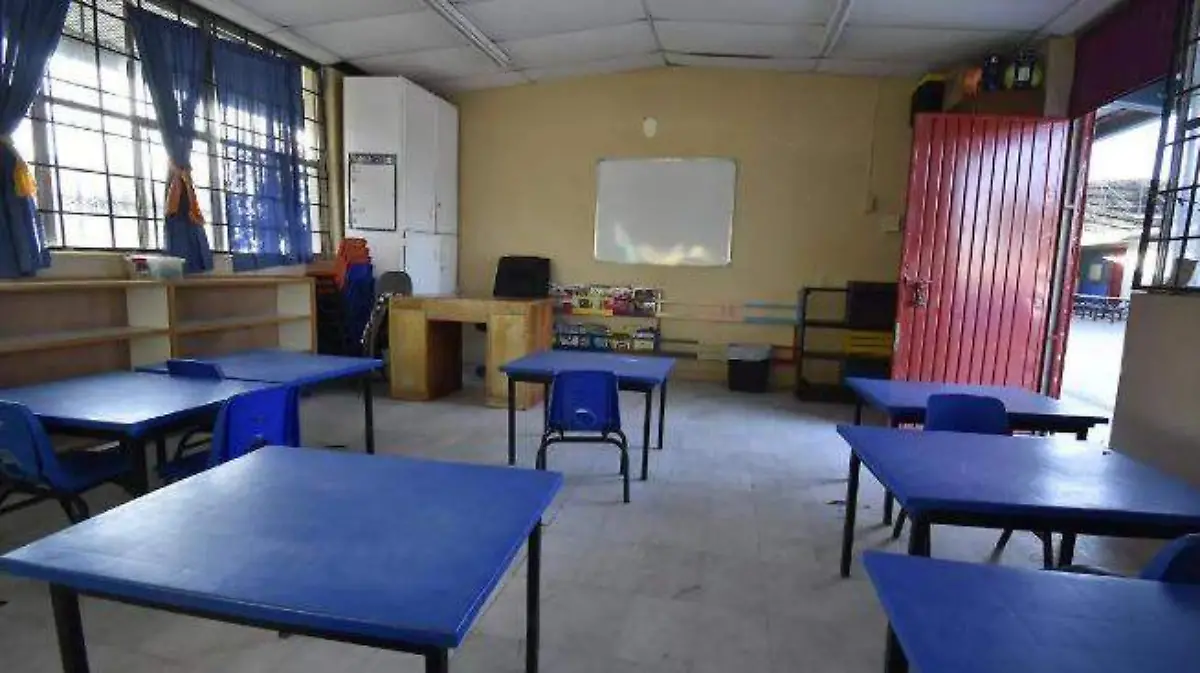 WhatsApp Image 2025-07-29 at 20.25.30