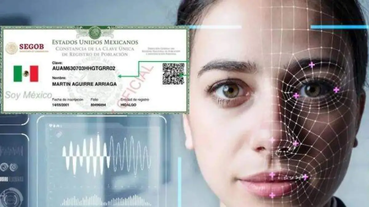 WhatsApp Image 2025-07-30 at 19.13.44