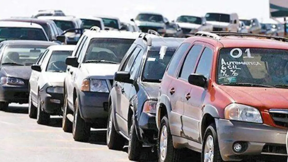 WhatsApp Image 2025-07-30 at 23.35.52