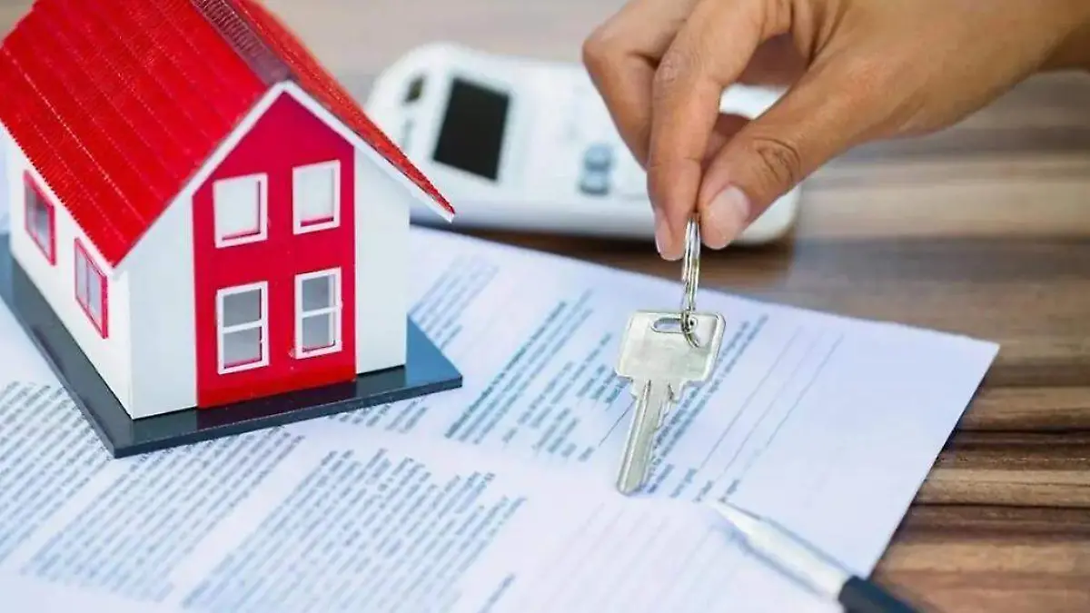 WhatsApp Image 2025-07-31 at 21.16.02