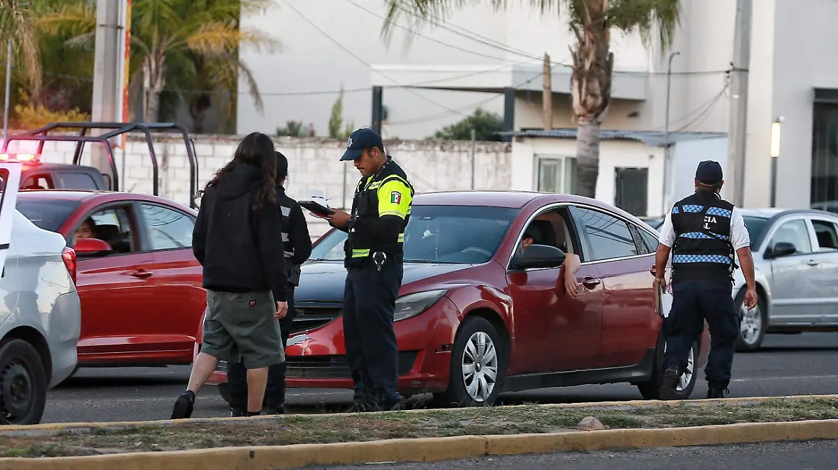 WhatsApp Image 2025-08-03 at 11.22.14 AM (1)