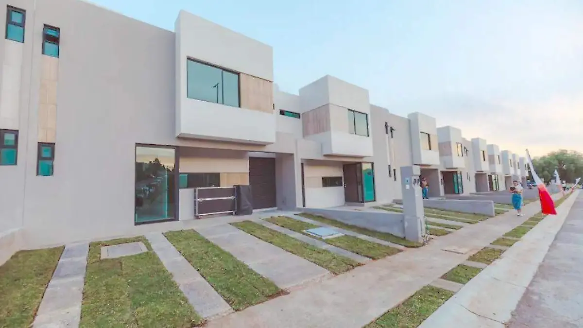 WhatsApp Image 2025-08-07 at 18.18.40