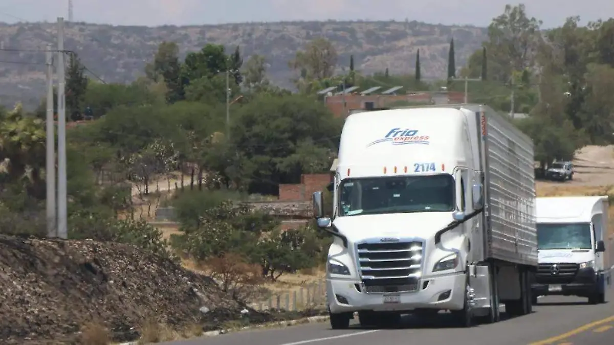 WhatsApp Image 2025-08-11 at 18.41.02