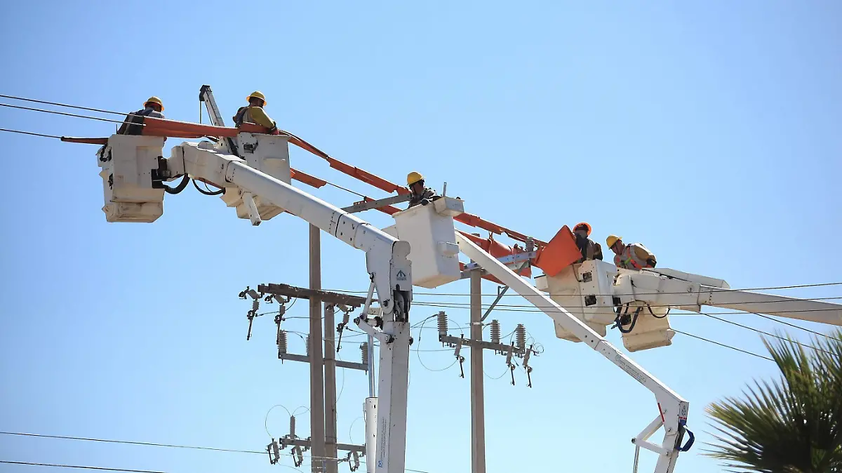 WhatsApp Image 2025-08-12 at 16.59.08 (2)