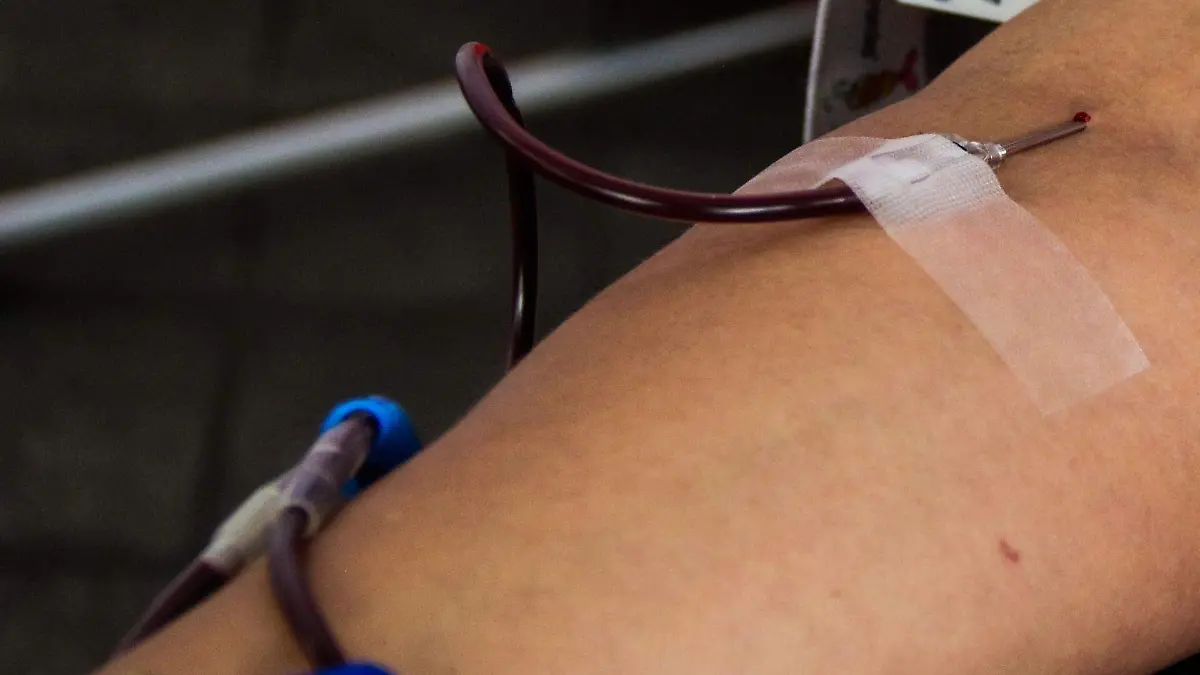 1036078_Donante de Sangre Voluntario inicia hoy_web