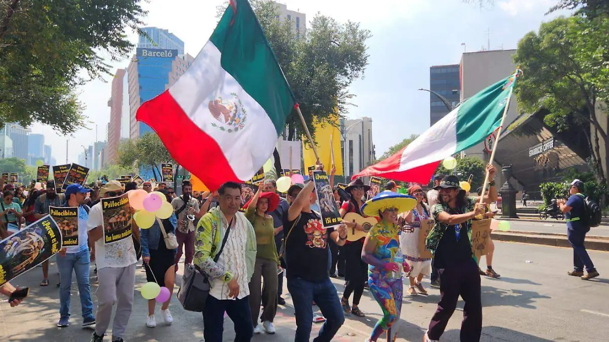 Durango con presencia de hongo psilocybe