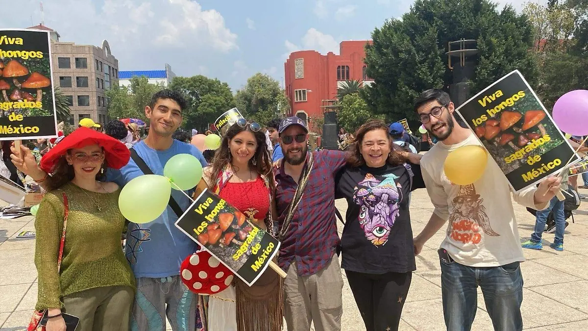 Durango con presencia de hongo psilocybe