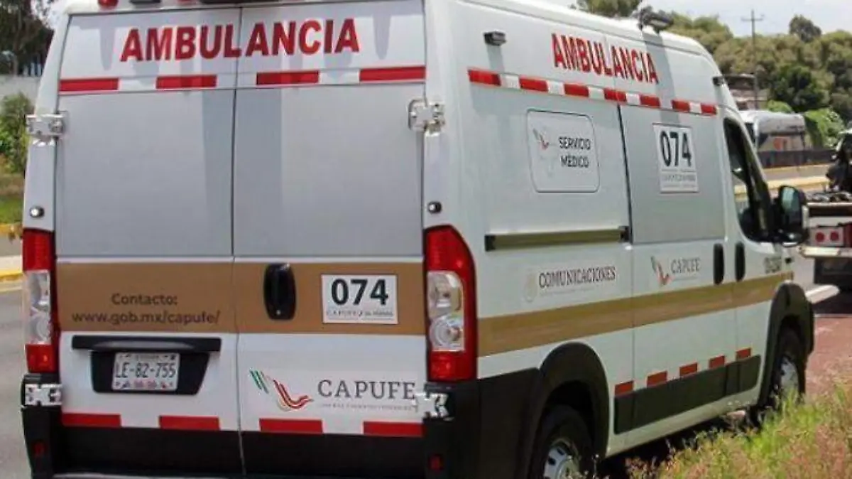 WhatsApp Image 2025-08-24 at 18.43.16