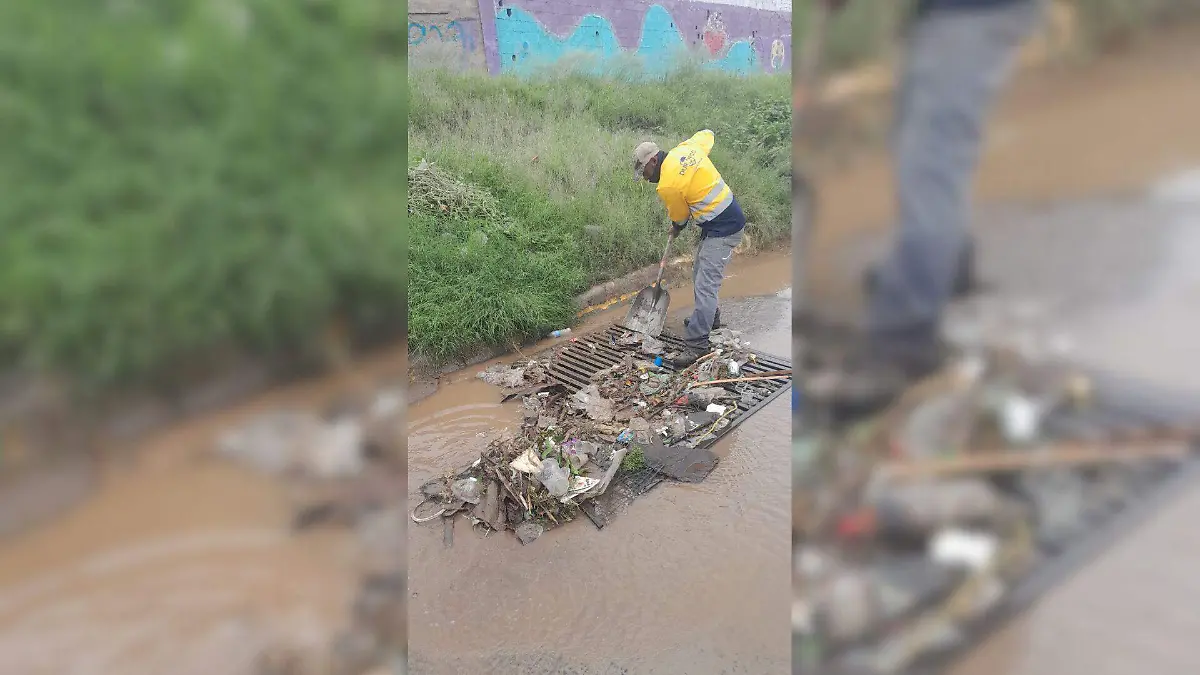 Recolectaron 2 toneladas de basura durante el domingo