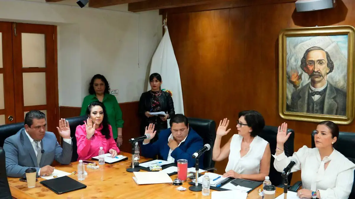 comisión plural  PM (1)