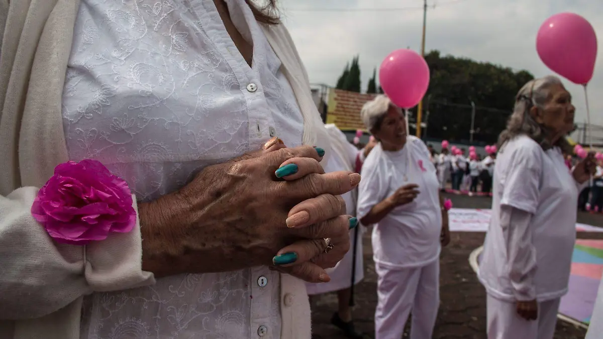 728580_Moño Rosa Venustiano Carranza_web