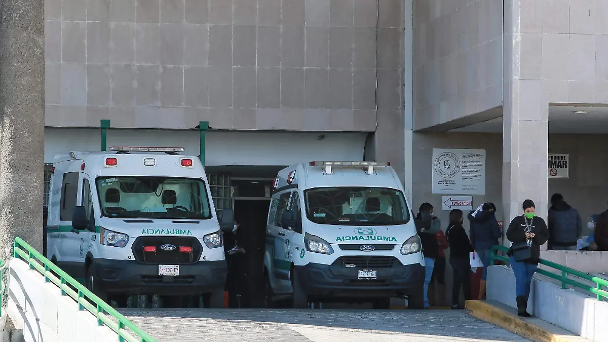 WhatsApp Image 2025-08-29 at 4.45.05 PM (1)