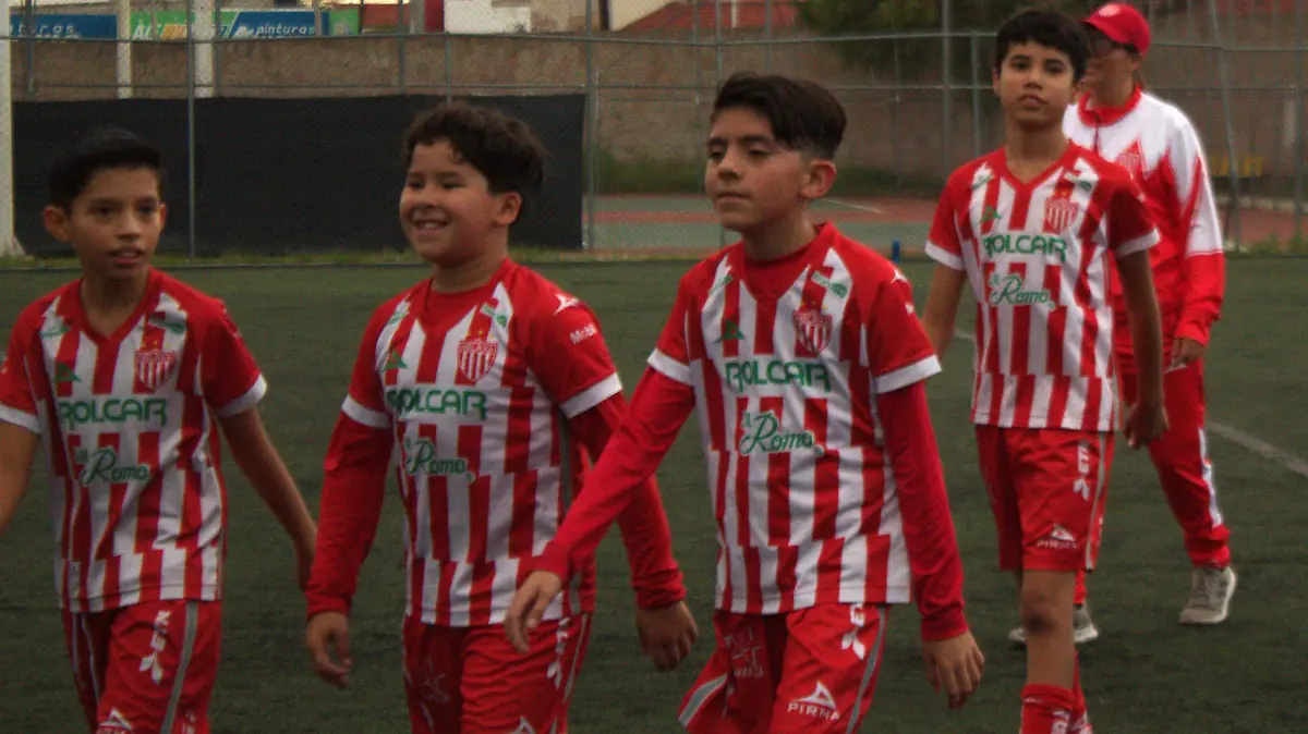 Nnecaxa5 (1)