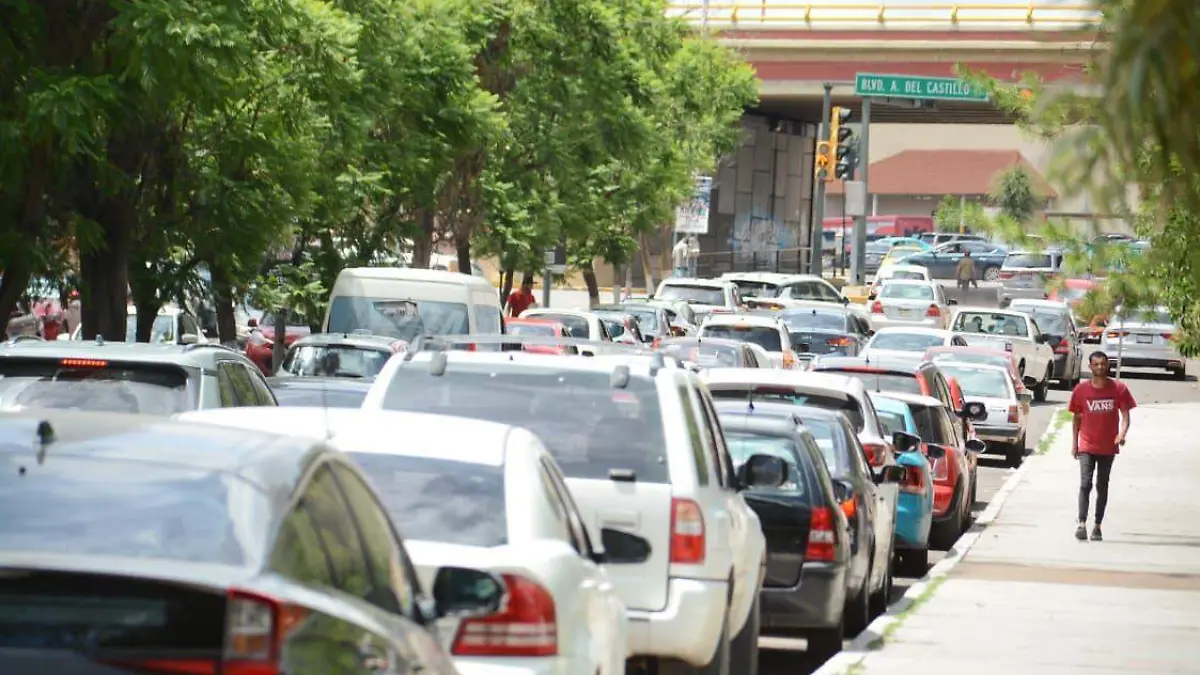 WhatsApp Image 2025-09-03 at 13.54.48 (2)