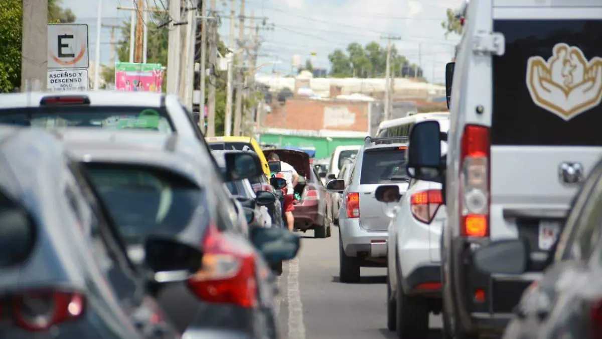 WhatsApp Image 2025-09-03 at 13.54.48