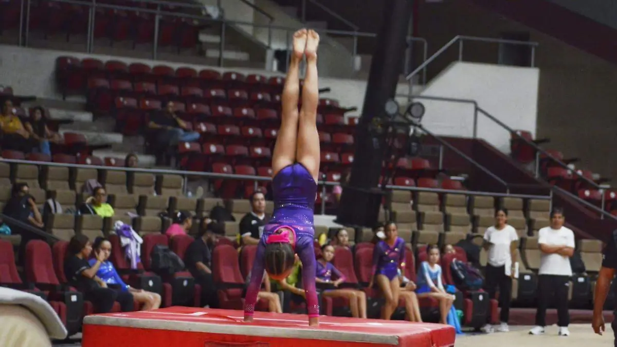 Curso Xcel para gimnastas con buenos frutos