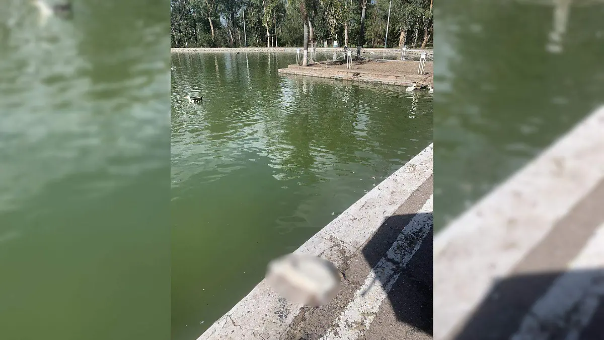 Lago de los patos