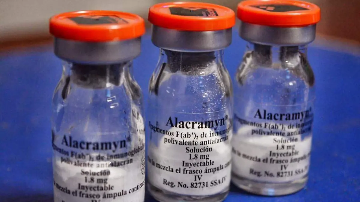 WhatsApp Image 2025-09-11 at 16.50.32