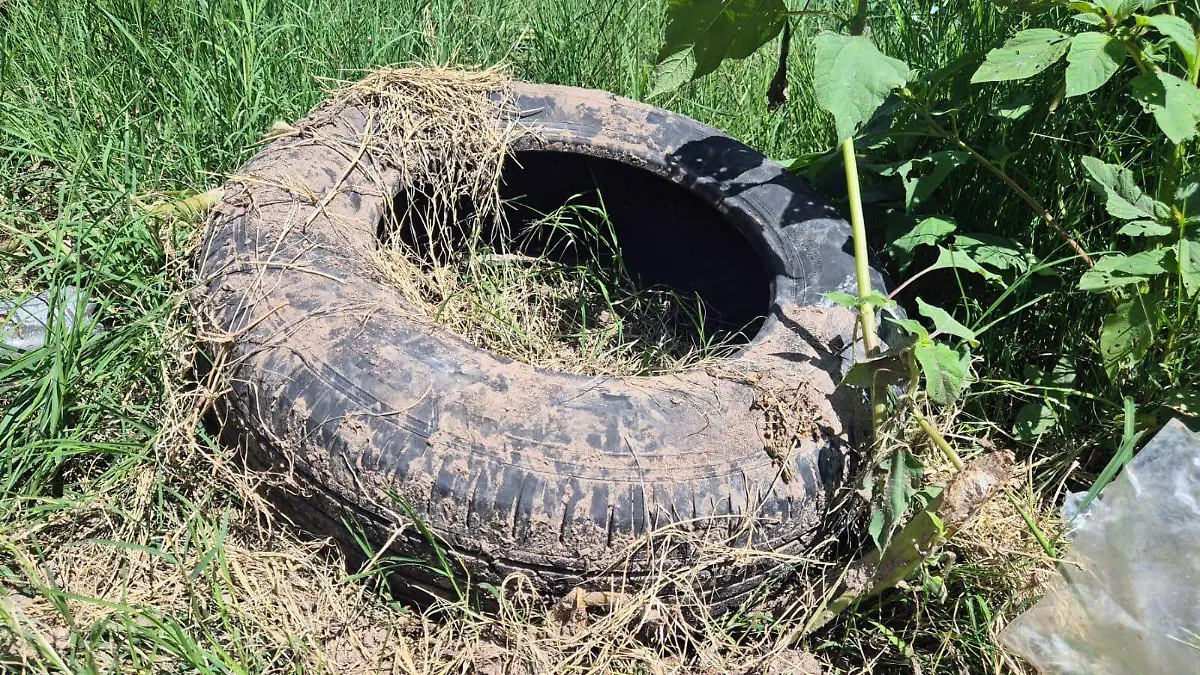 WhatsApp Image 2025-09-11 at 17.10.45 (1)