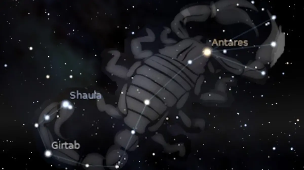 Constelaciones llenas de maravillas