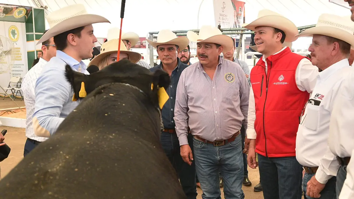 Ganado de Durango cumple protocolos sanitarios para exportación a Estados Unidos