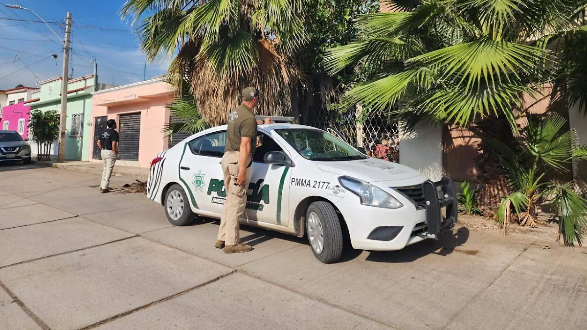 02 Comunicado Poda 01