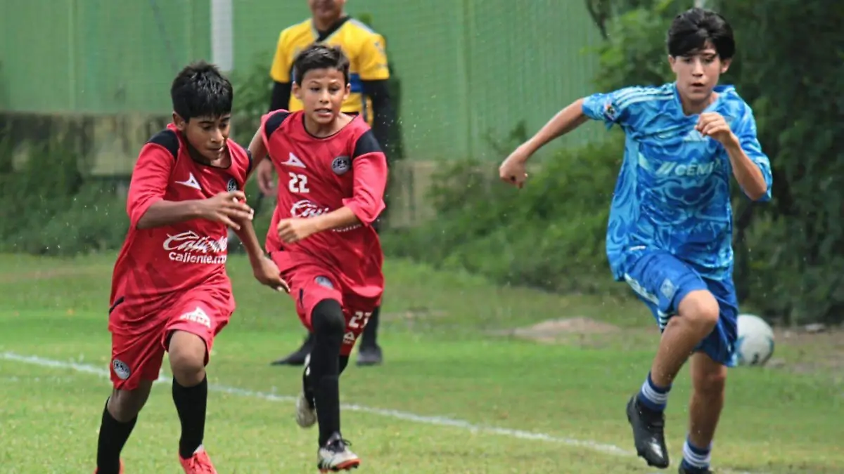 WhatsApp Image 2025-09-17 at 3.51.27 PM (1)