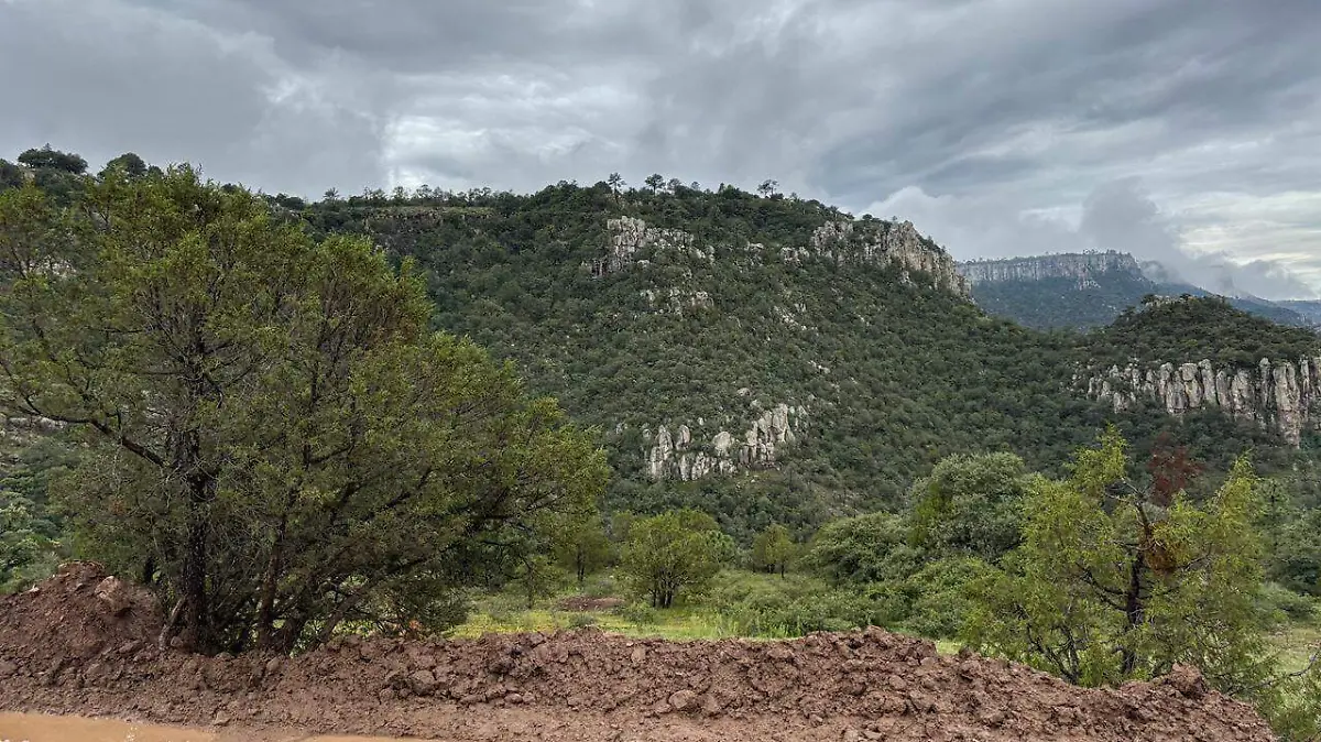 WhatsApp Image 2025-09-20 at 11.38.49 AM