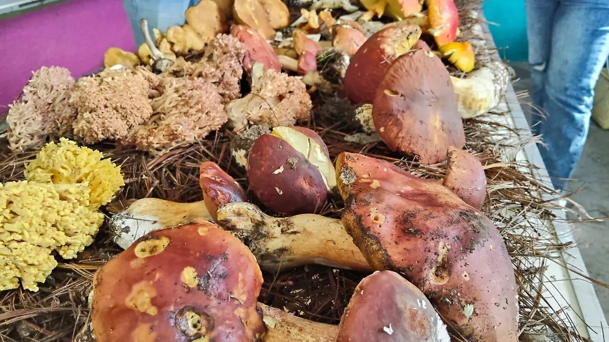 Las “hongueras” de Durango y su compromiso con la tradición gastronómica 