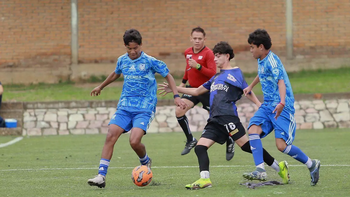 Tigres Durango sub 15 logra la hazaña