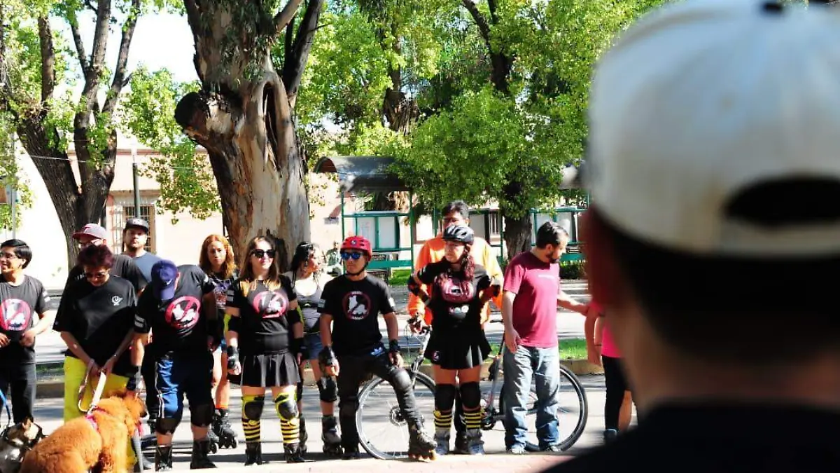 Impulsa MC en el Cabildo paseos recreativos en Las Alamedas