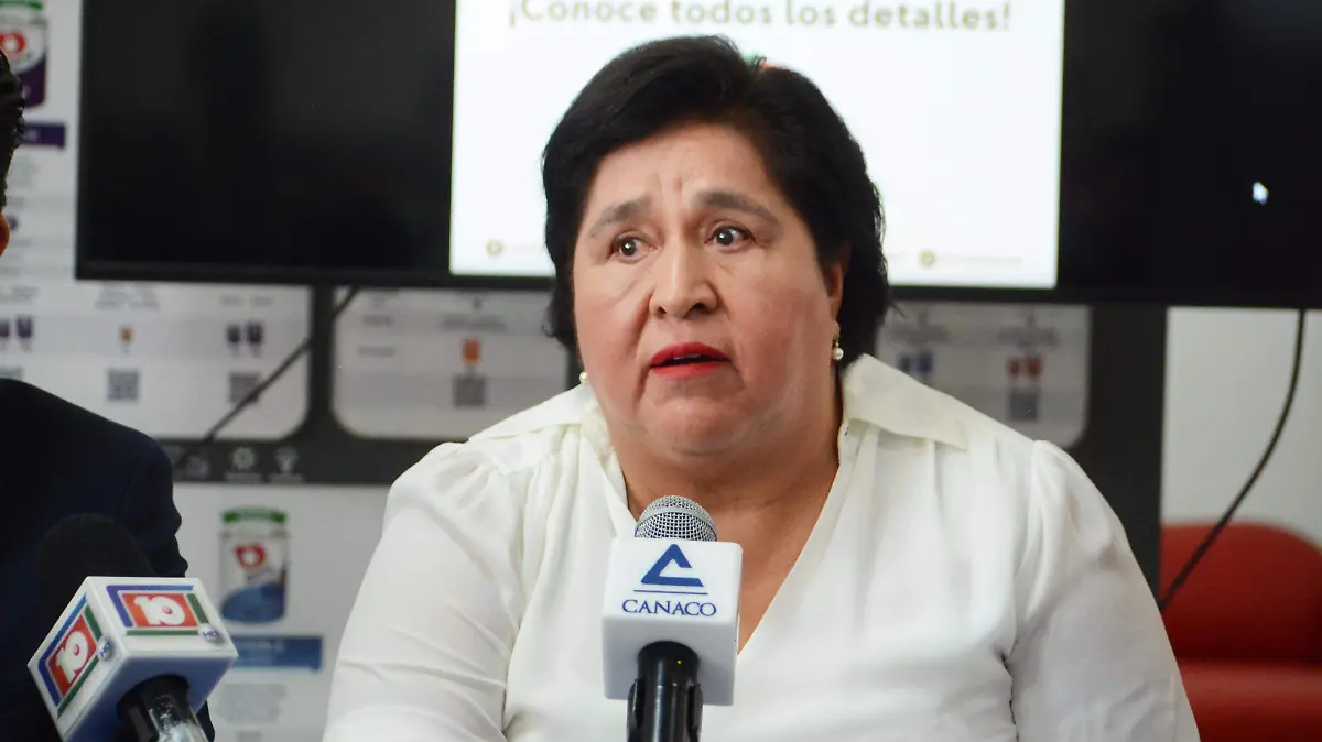  subsecretaria de Fomento a Mipymes, Teresa Soto