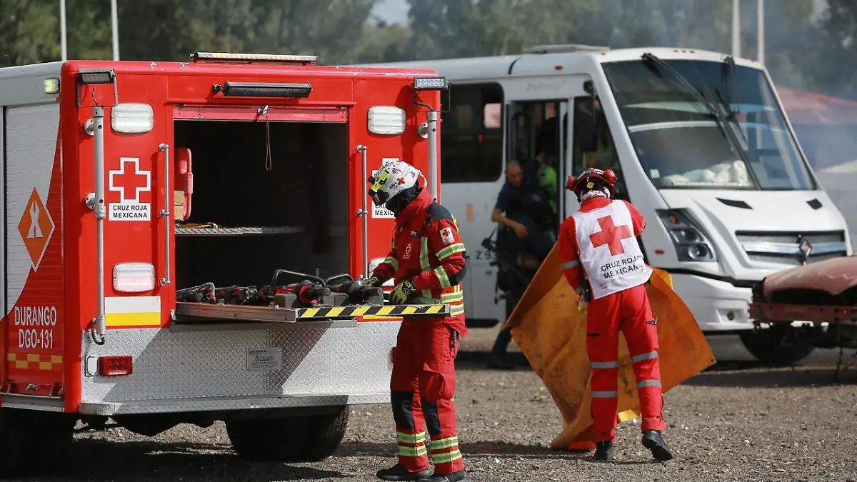 WhatsApp Image 2025-09-28 at 11.37.05 AM