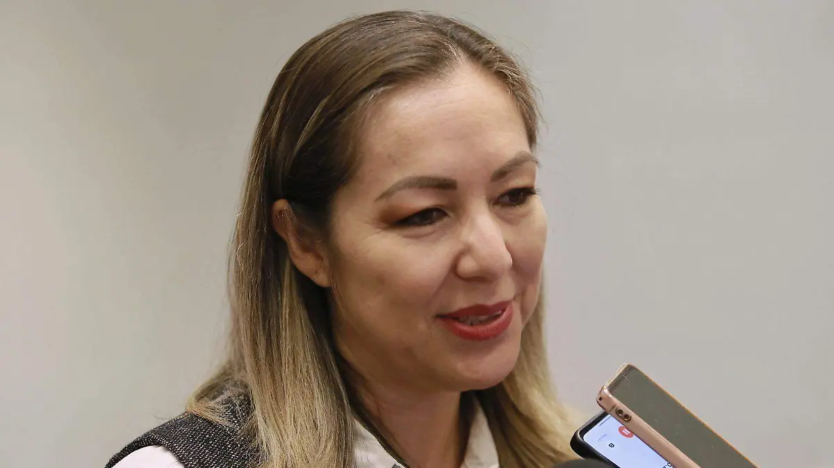 presidenta de la Cámara Nacional de la Industria de Transformación (Canacintra), Joana Soto Quintero