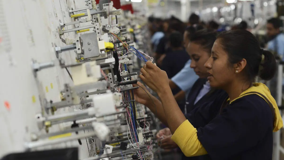 469216_Delphi Cableados_web