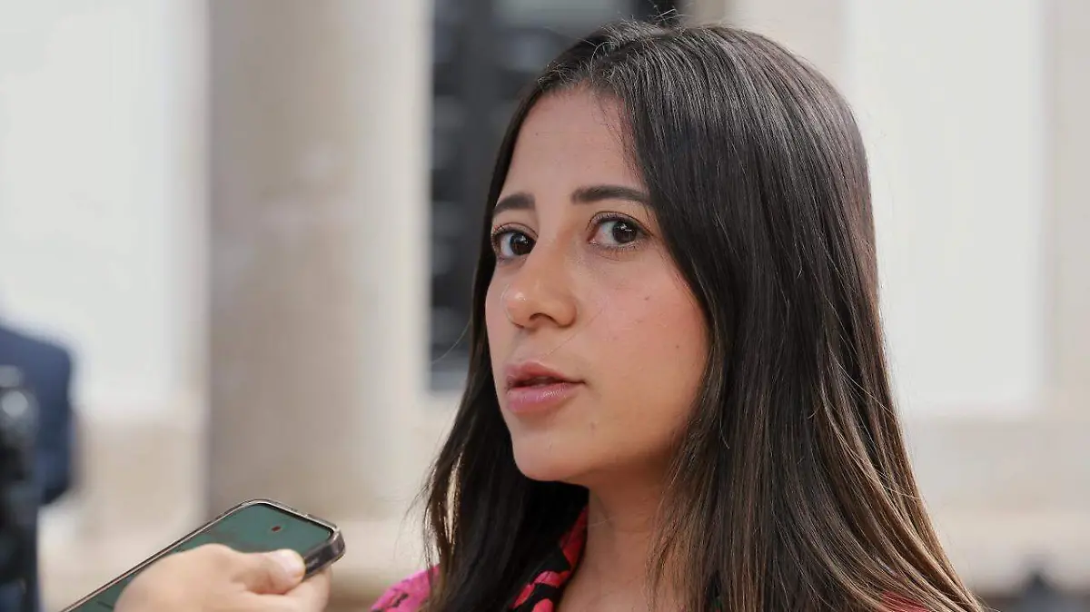 presidenta del Consejo de Empresarios Jóvenes (CEJ), Karen Rivas Santillán